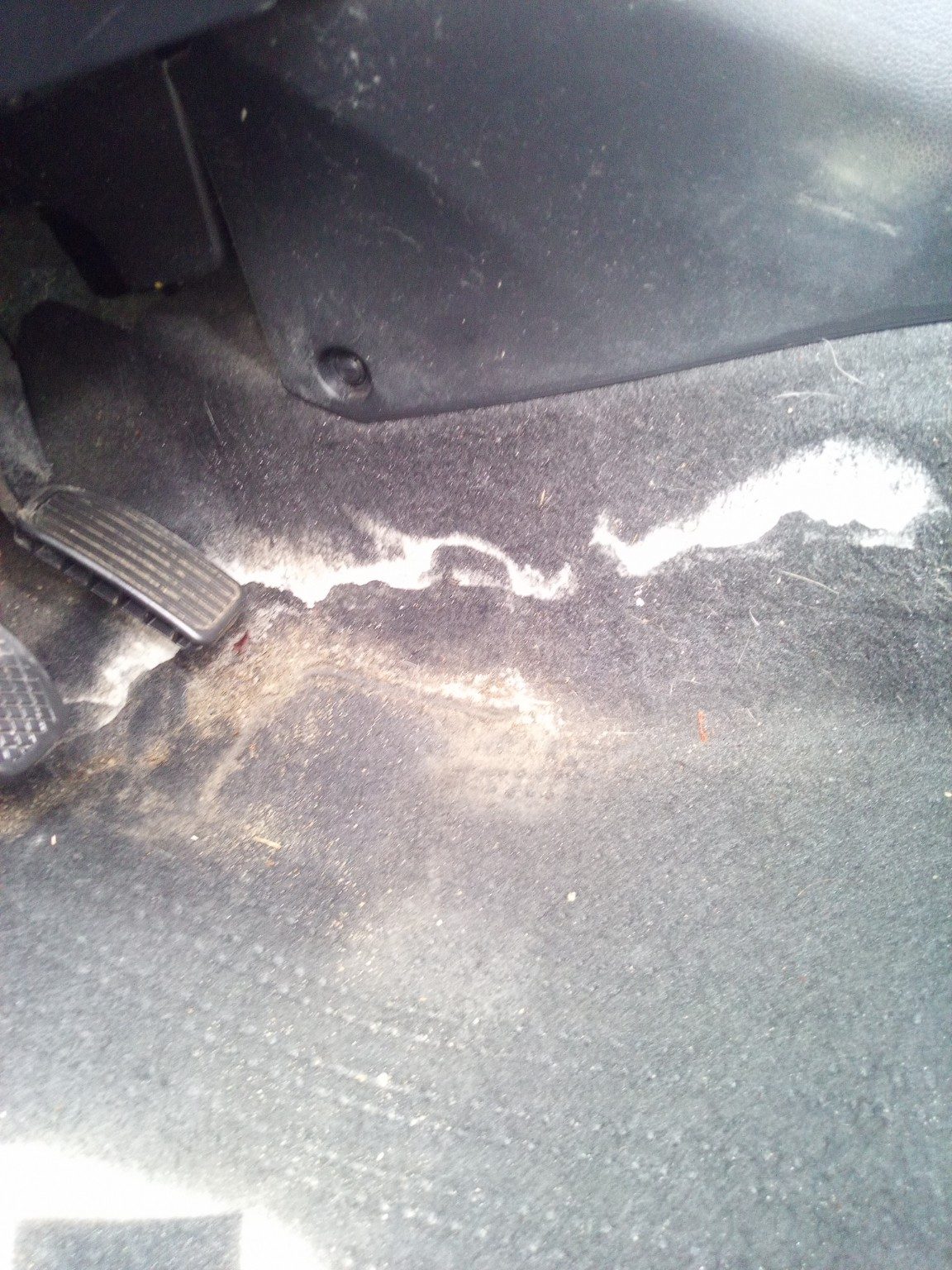Tapis d'auto avec accumulation de calcium de 5 ans avant traitement